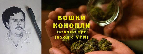 сатива Белоозёрский