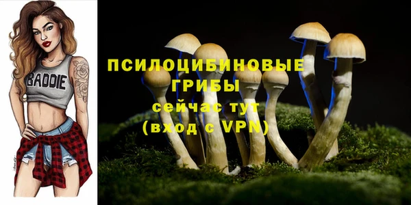 сатива Белоозёрский