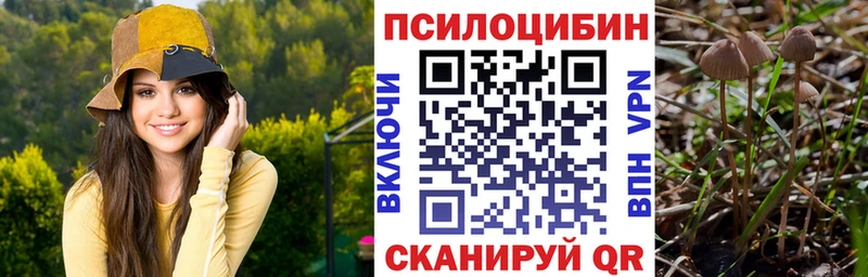Галлюциногенные грибы прущие грибы  Лыткарино 